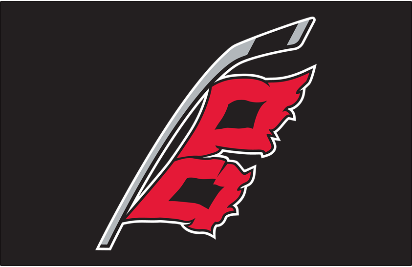 Carolina Hurricanes – 2026 Stanley Cup Champions